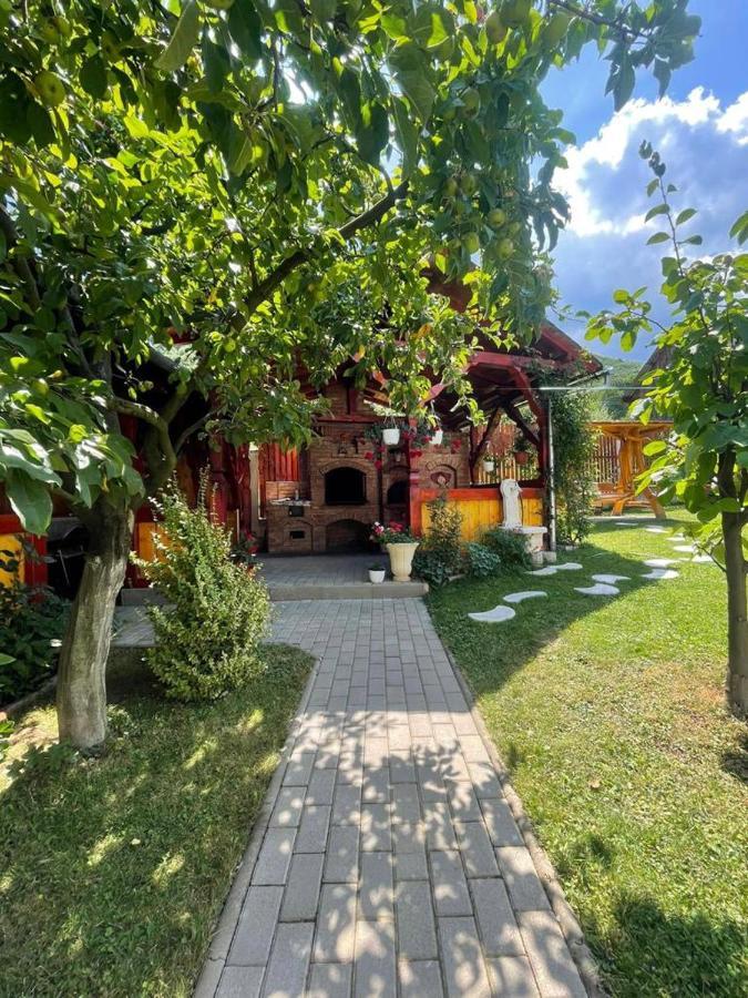 Pensiunea Vatafu Gura Raului Exterior photo